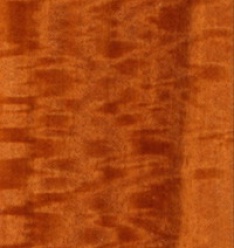 kotibe
